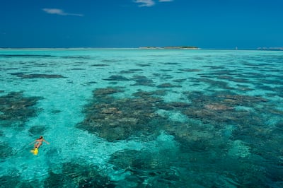 Wide shot of person snorkelling in the sea