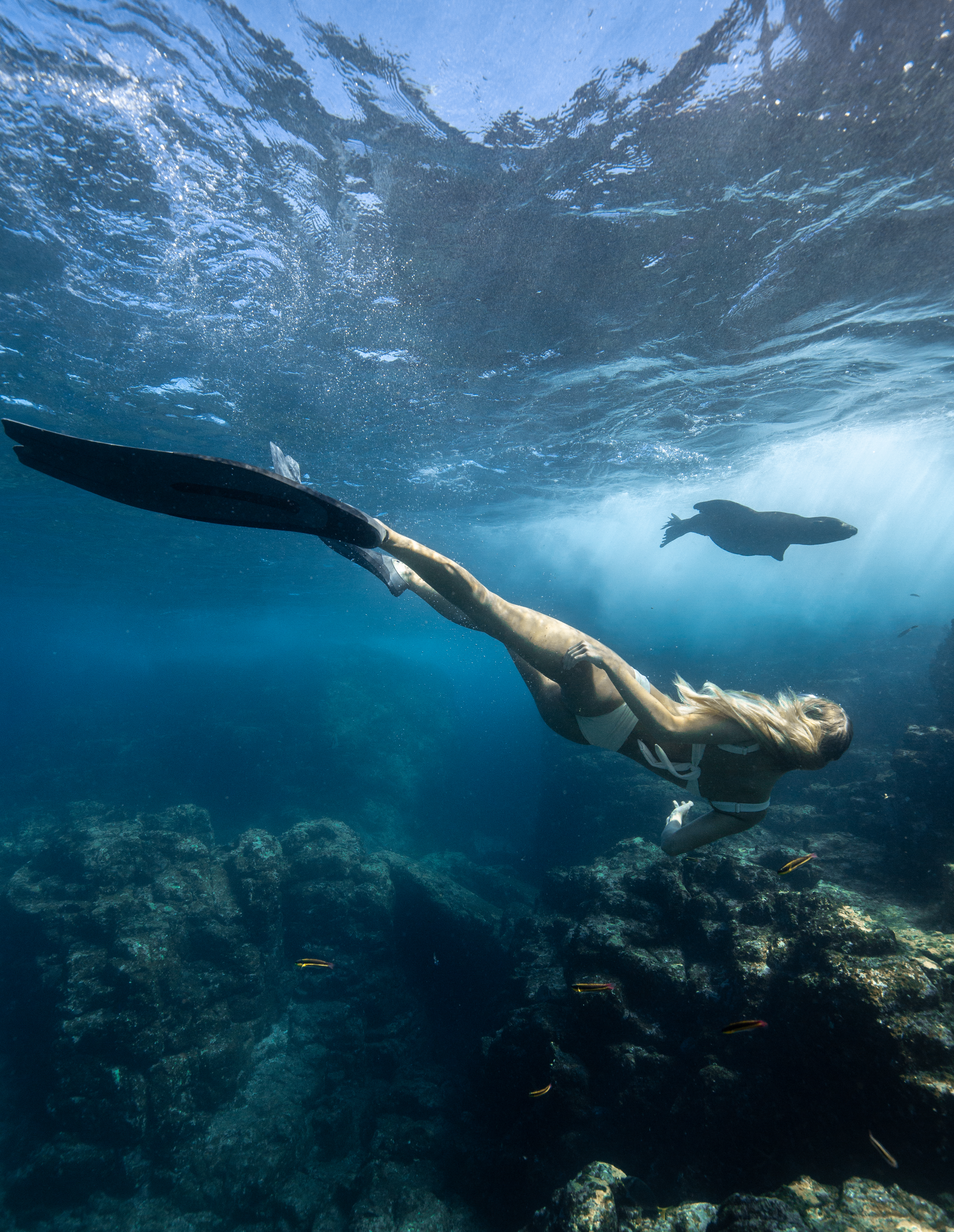 Woman swimming in the sea, with sea life
