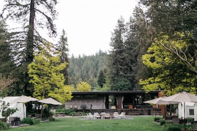 Lawn area with comfortable seating and surrounding trees
