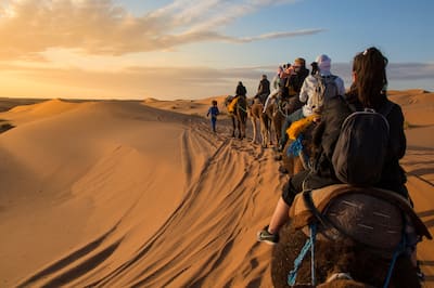 Large group of tourists ride camels across desert sand dunes
