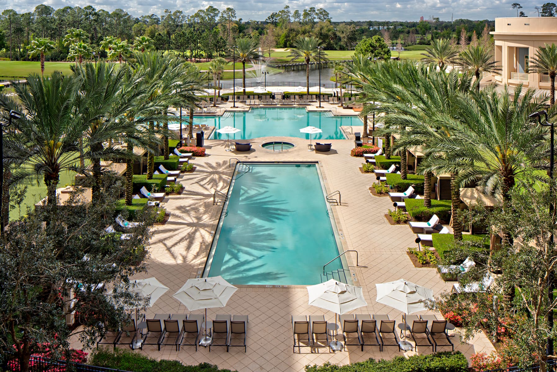 Outdoor pool with palm trees